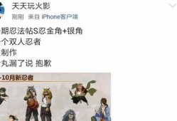 下一个忍法帖最新爆料,最新爆料揭示神秘忍术与传奇忍者