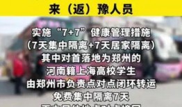 河南的爆料新闻最新消息,揭秘某重大事件背后真相