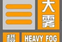 雾中人最新爆料,最新爆料背后的惊人真相