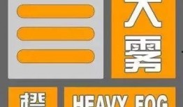 雾中人最新爆料,最新爆料背后的惊人真相