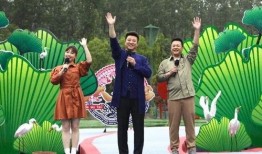 布莱泽爆料视频大全最新,揭秘娱乐圈不为人知的一面