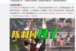 爆料河北密访视频大全最新,独家视频大全深度解析