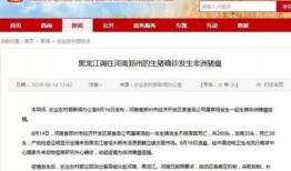 河南的爆料新闻最新消息,揭秘某重大事件背后真相