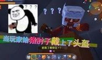 小宇家族最新爆料视频,揭秘家族幕后故事