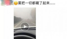 雾中人最新爆料,最新爆料背后的惊人真相